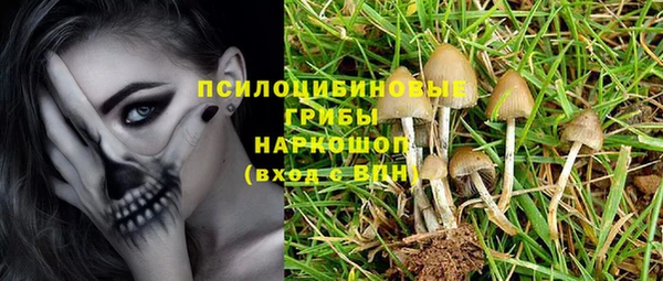 дживик Волоколамск