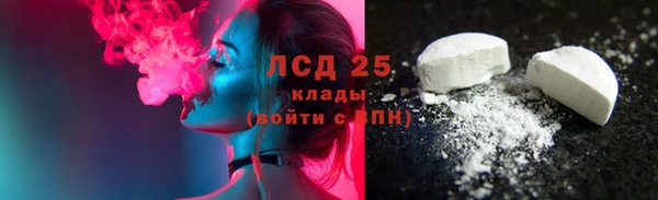 СК Володарск