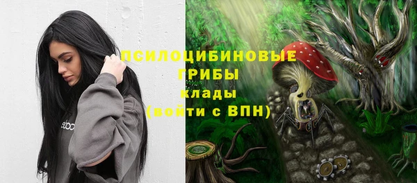 СК Володарск